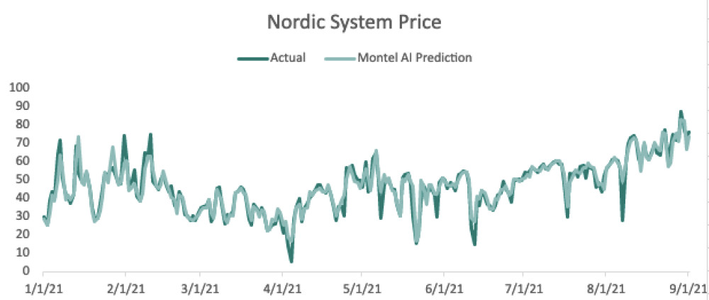 Montel AI Spot forecast 2