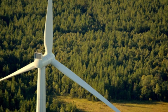 windmill in front of forest
